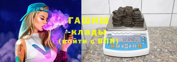 шишки Богородицк